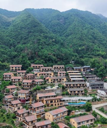原舍揽树(松阳店)图片