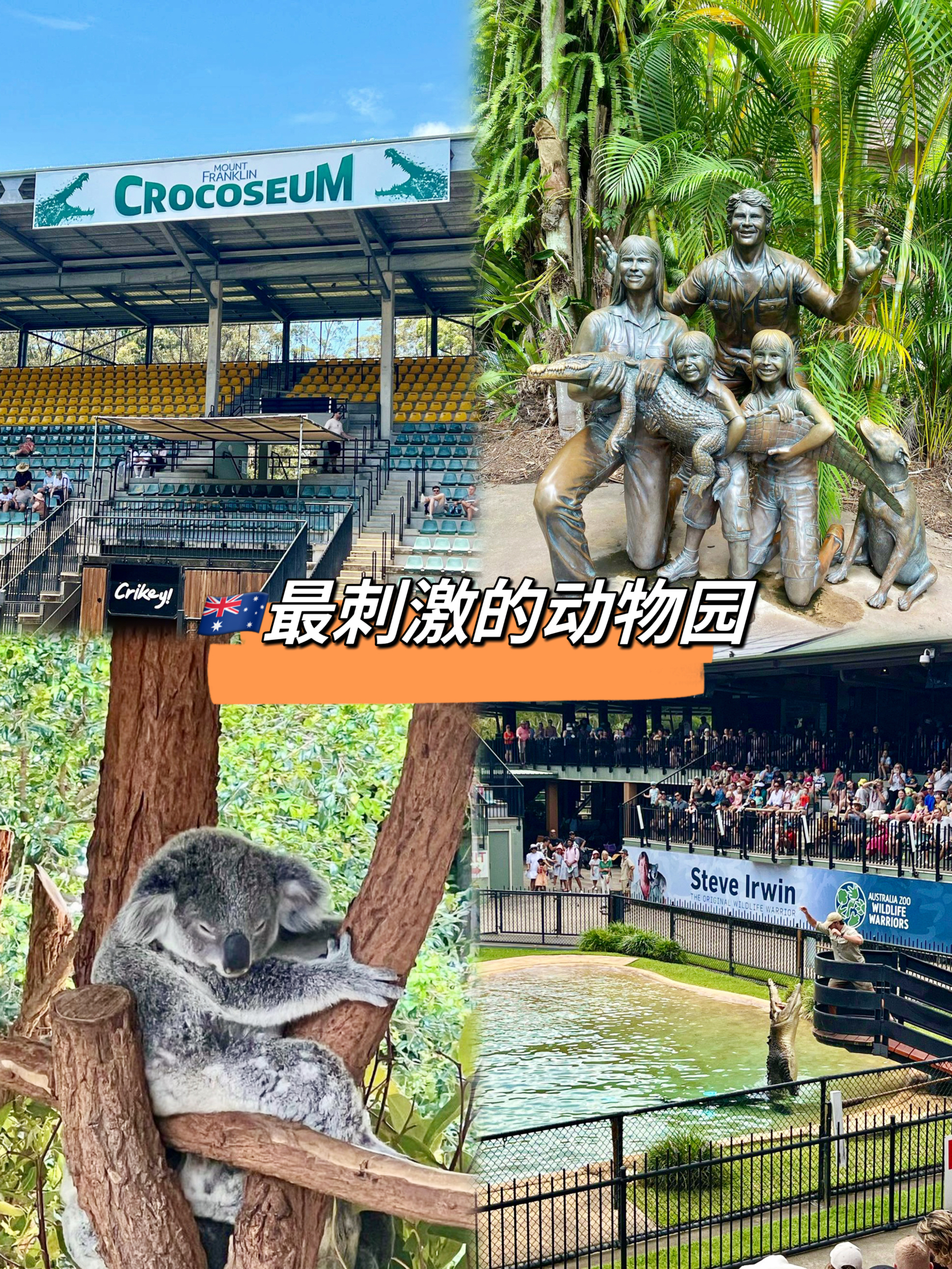 找一个晴天去澳大利亚动物园抱考拉看鳄鱼秀！