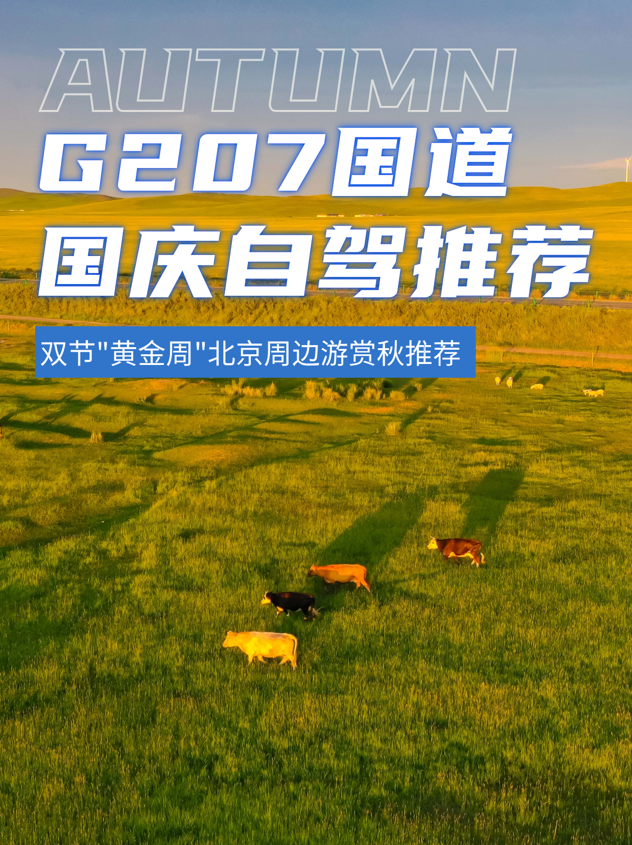 国庆自驾赏秋|G207锡盟段，所到皆美