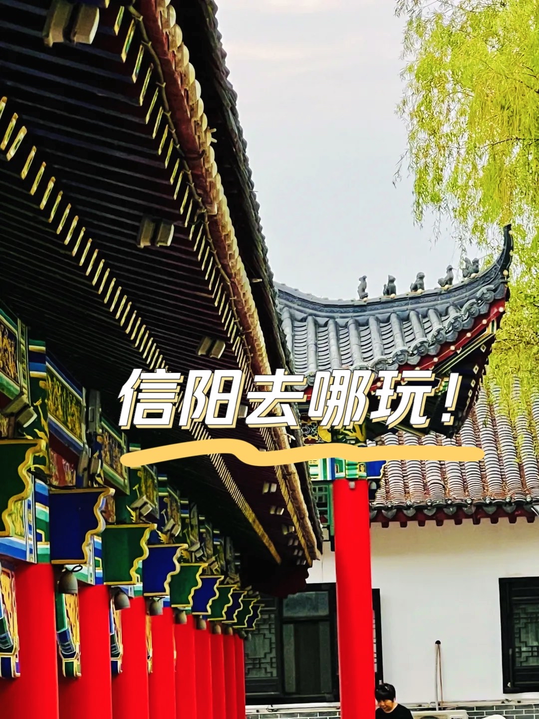 玩转信阳•司马光故乡•超美的湿地公园