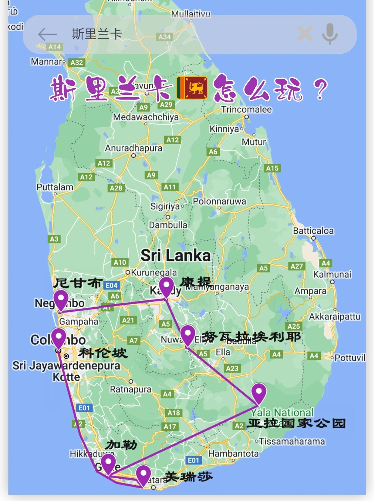 斯里兰卡 | 春节旅游攻略大合集！🌴🌸🎉