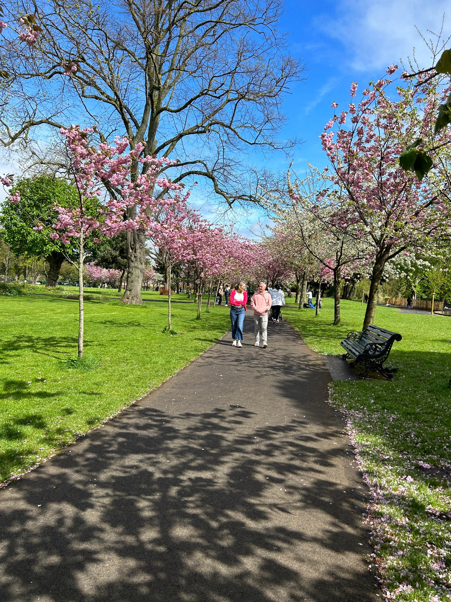 🇮🇪粉红色的Herbert PArk