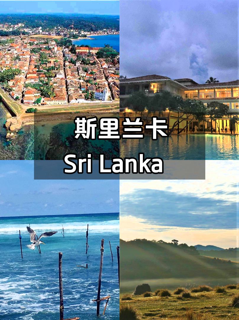 斯里兰卡旅游 真香警告❗️你绝对想去😍