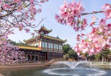 紫洞舫景点图片