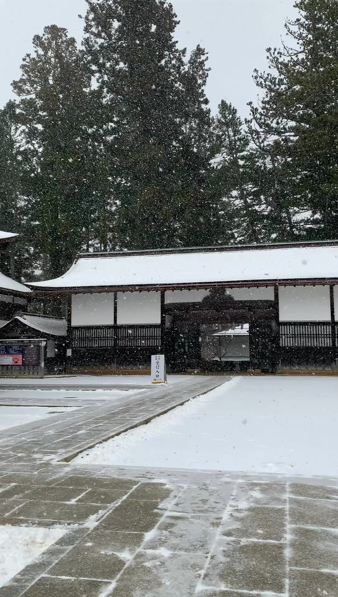 冬日漫游｜来日本千年神秘高野山金刚峰寺赏雪