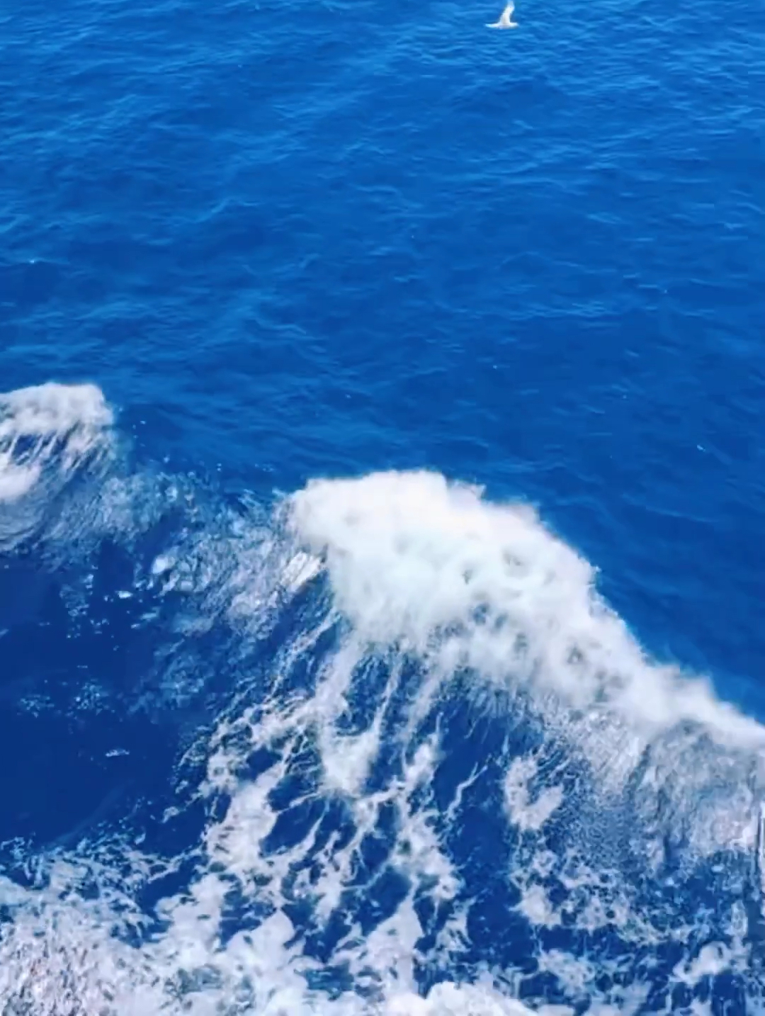 亚洲最大游轮  皇家加勒比海洋光谱号  船上超多项目