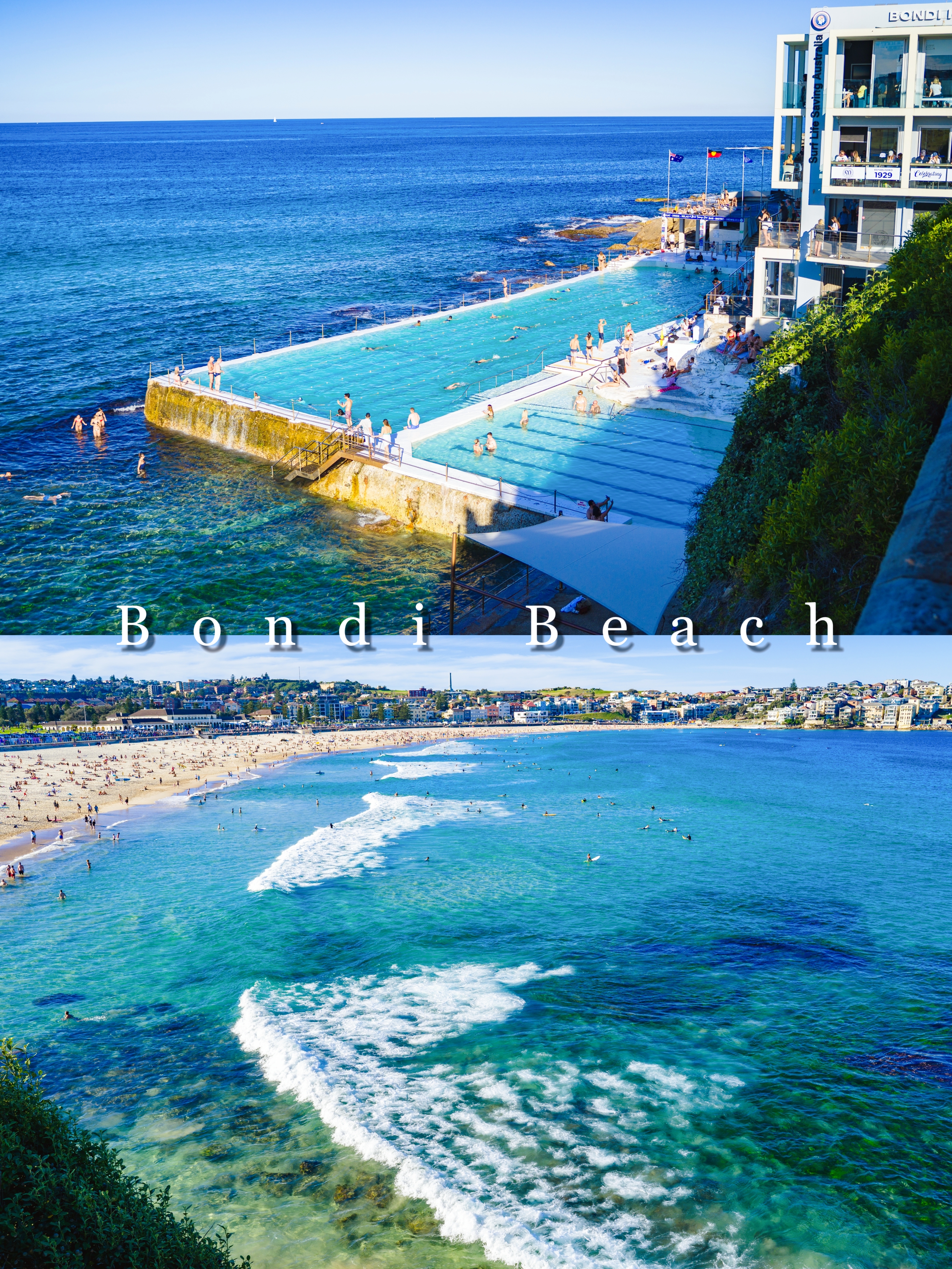 悉尼东海岸最美沙滩：邦迪海滩！