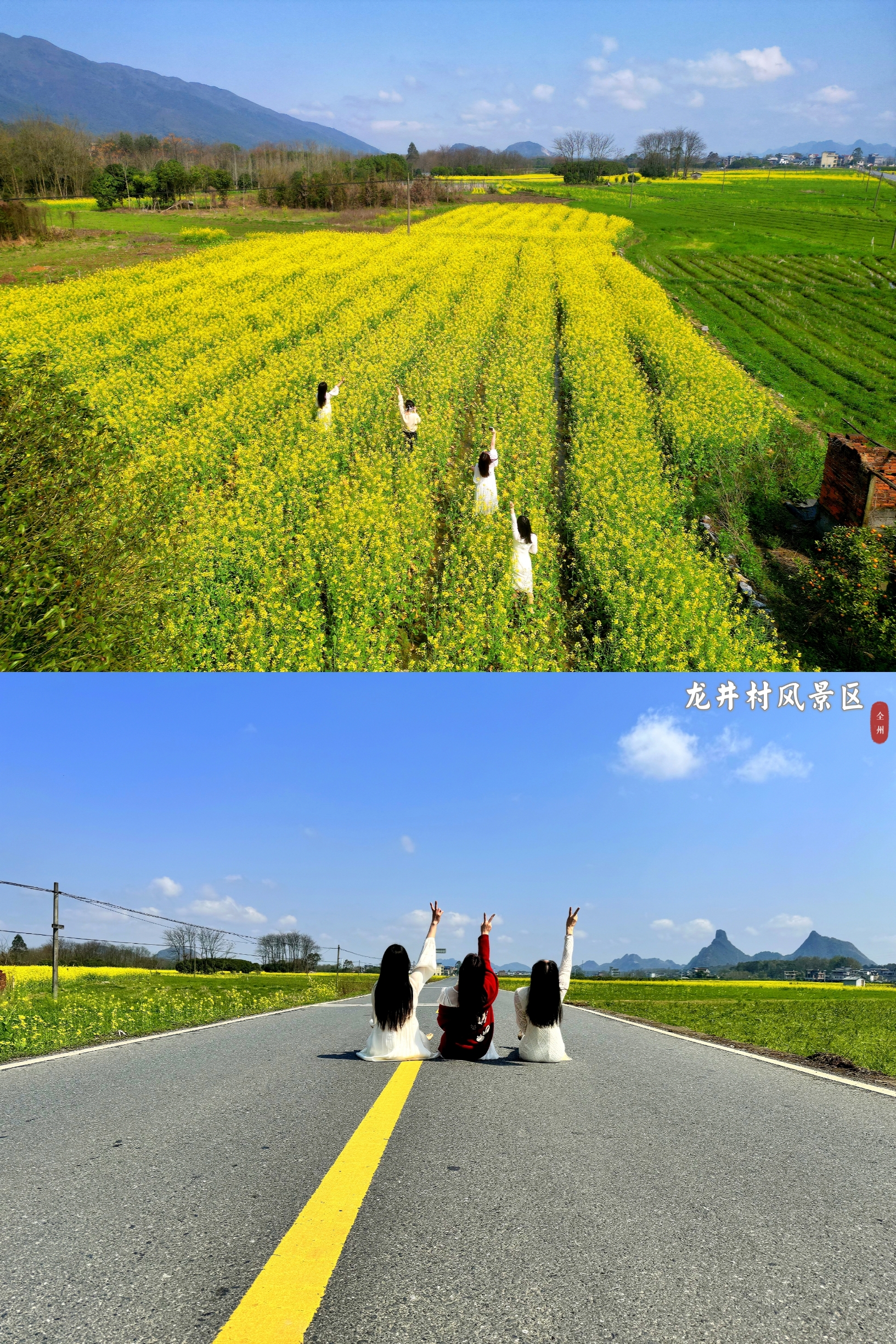 桂林·龙井村风景区丨春天来全州龙井赏油菜花海