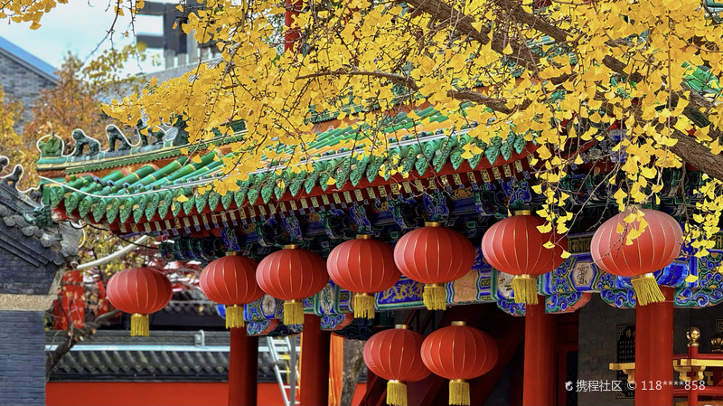 皇寺，免费的寺庙，就在