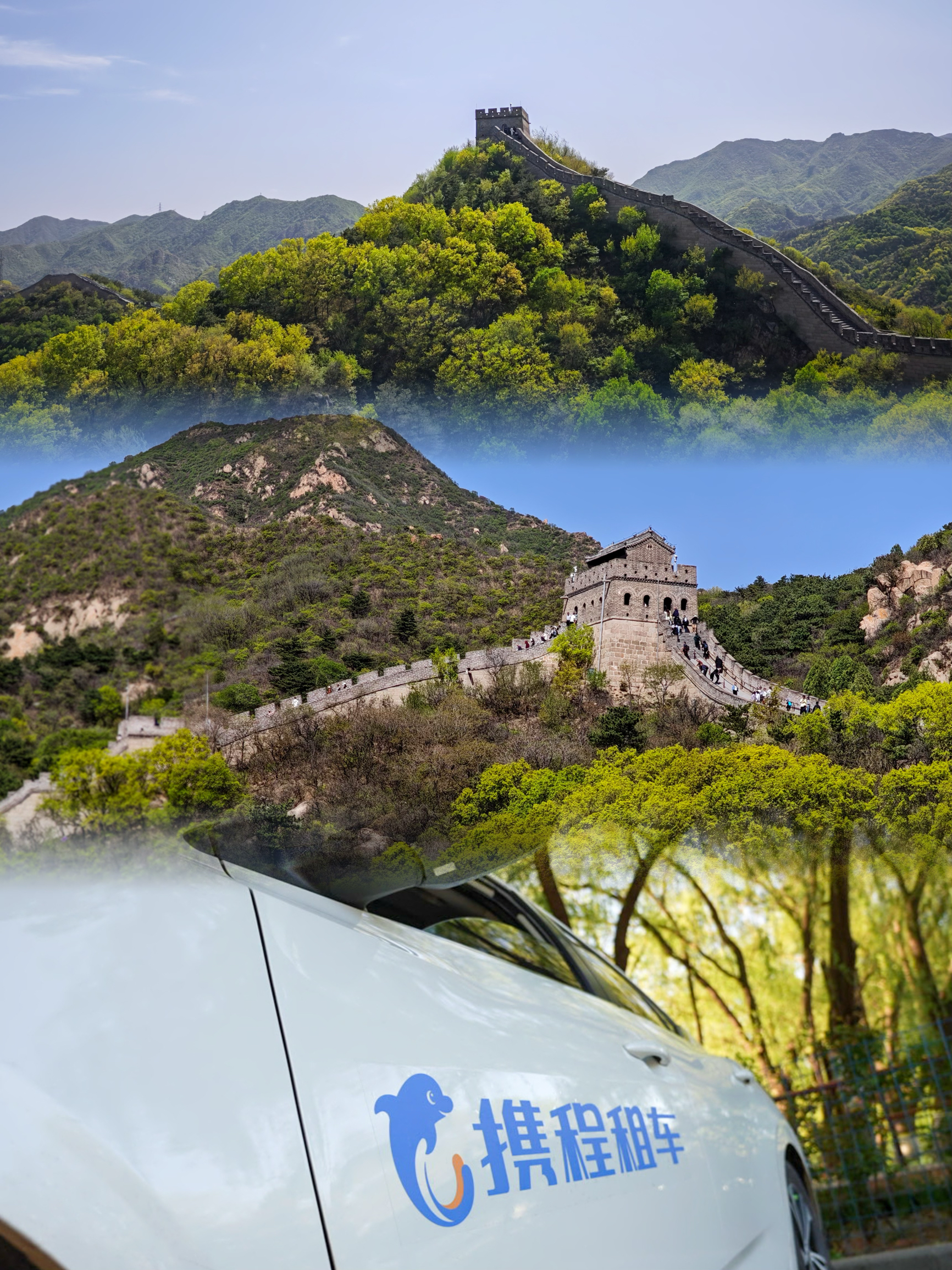 动物联盟美食餐厅