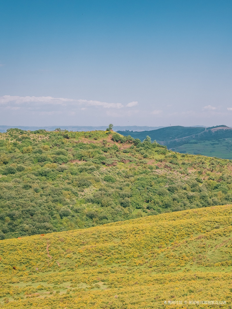 黄草坪自驾营地