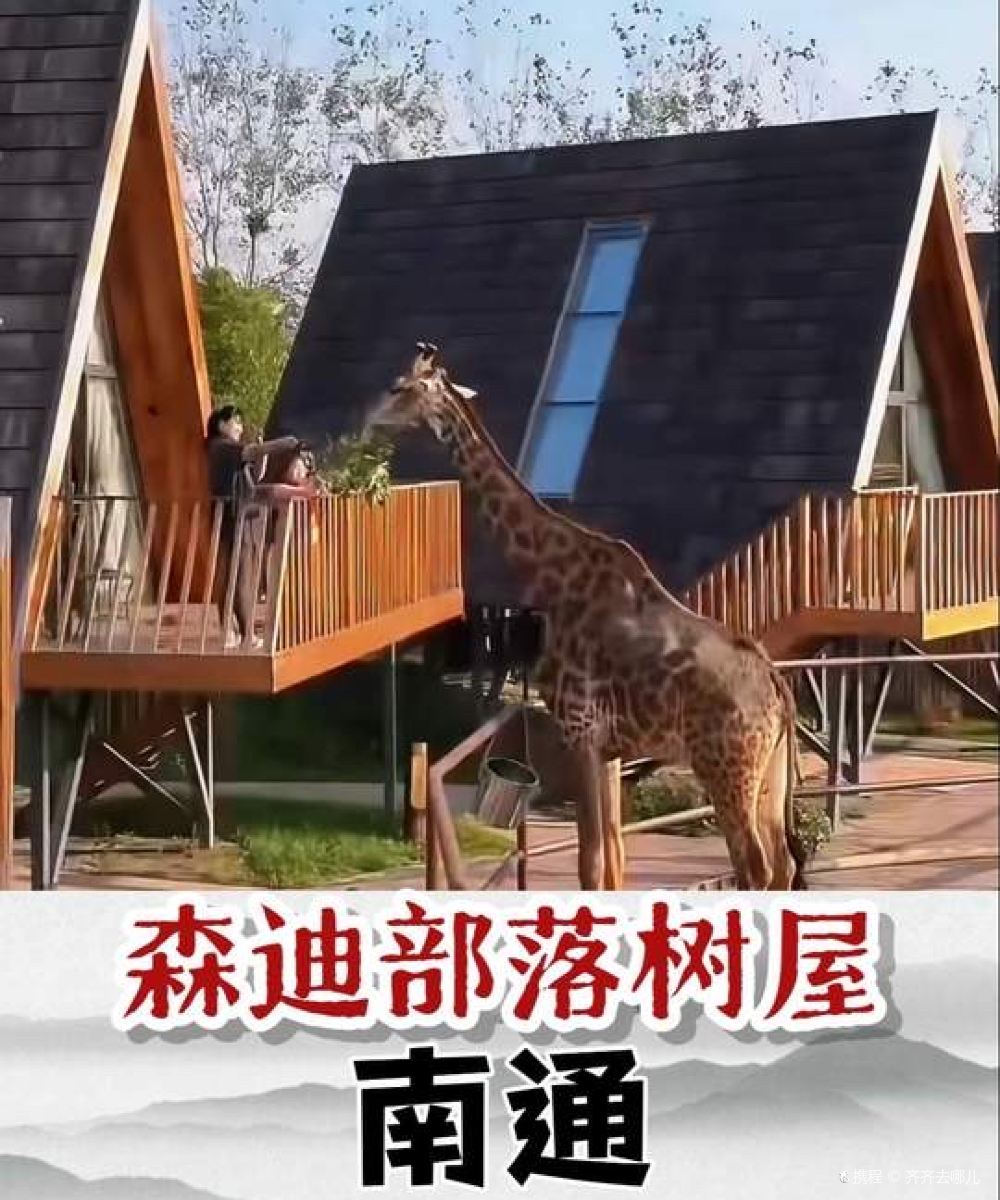 南通森迪部落树屋图片