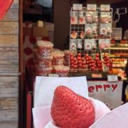 不吃菠菜鱼的可乐啊