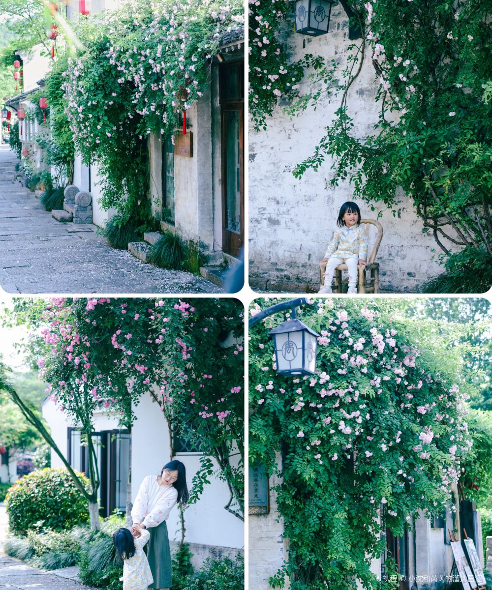 绍兴大禹开元观堂图片