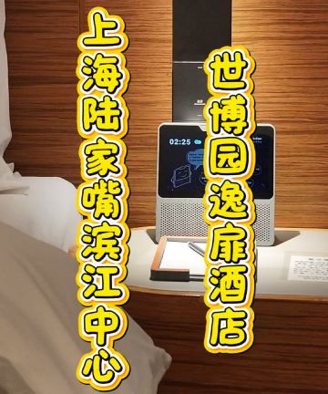 上海陆家嘴滨江中心世博园逸扉酒店图片