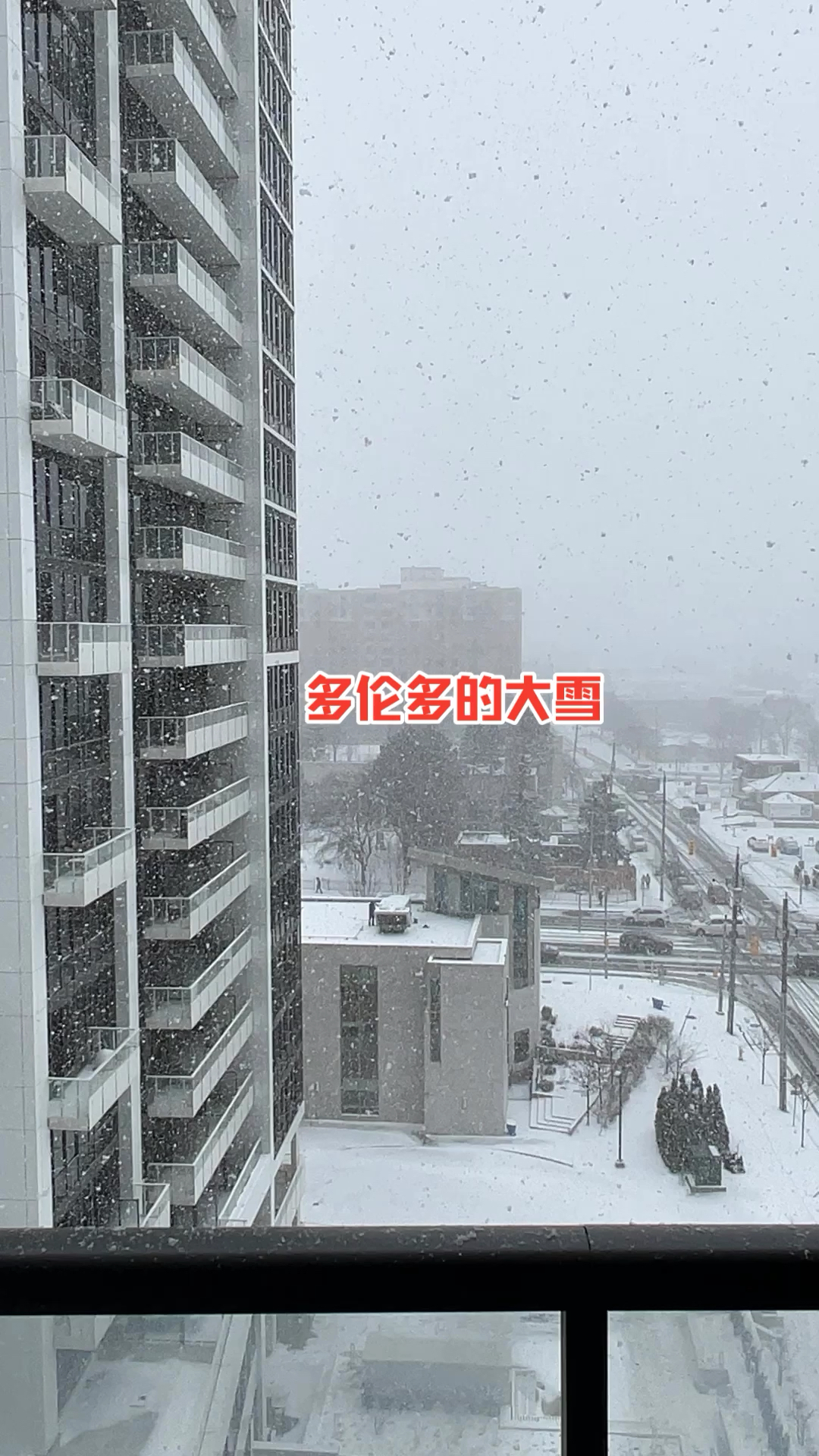 多伦多大❄️雪