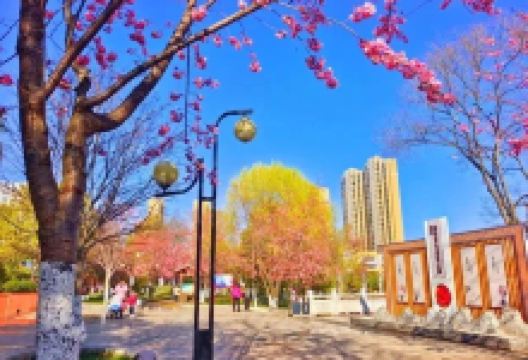 师宗县通玄公园景点图片