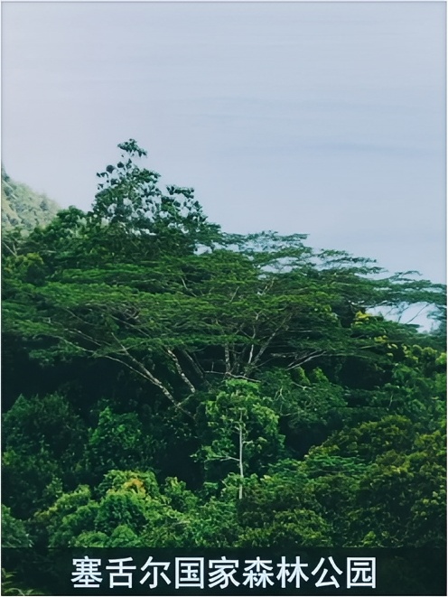 塞舌尔国家森林公园