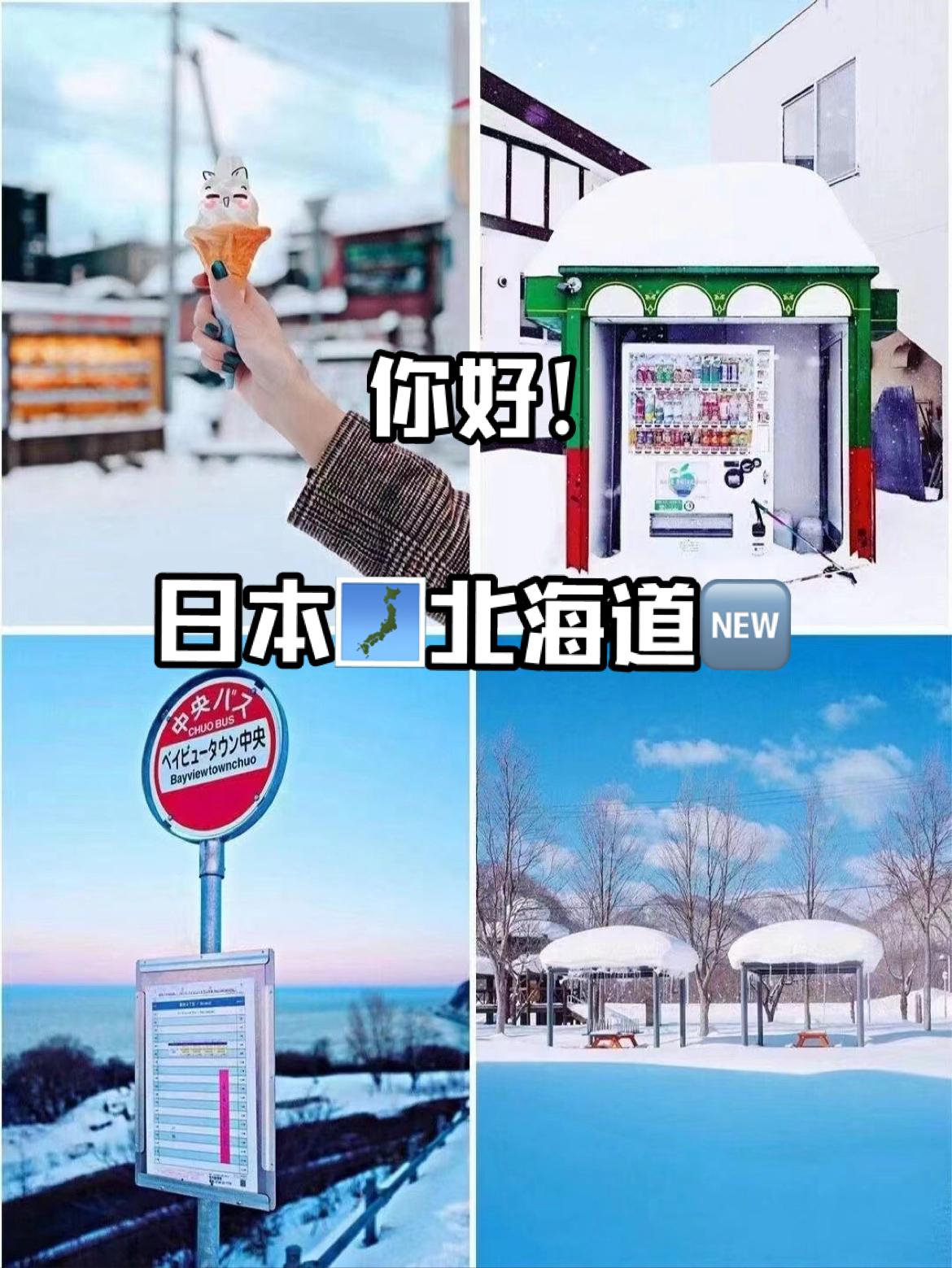✈️日本🗾邂逅冬日北海道⛷️滑雪体验白色浪漫💕 收藏