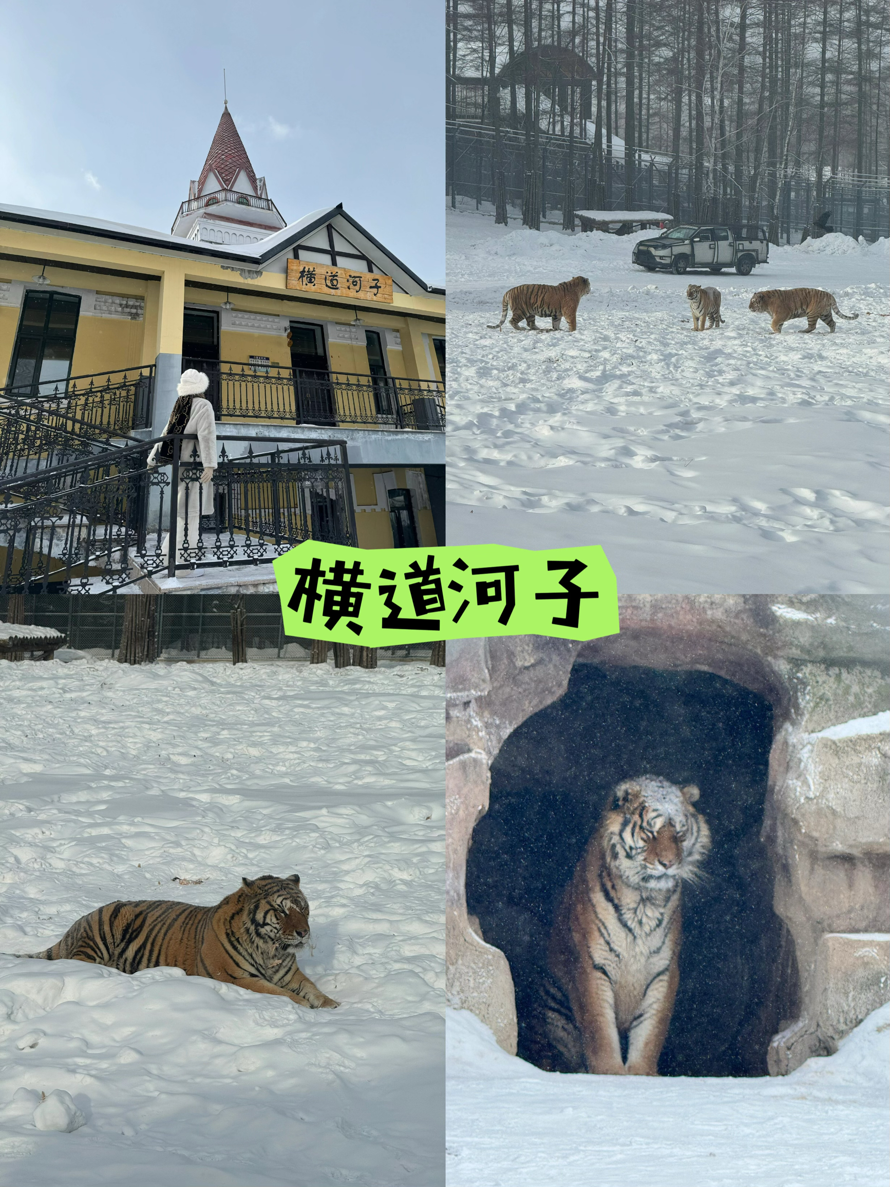 【横道河子：中国北海道，雪景童话】