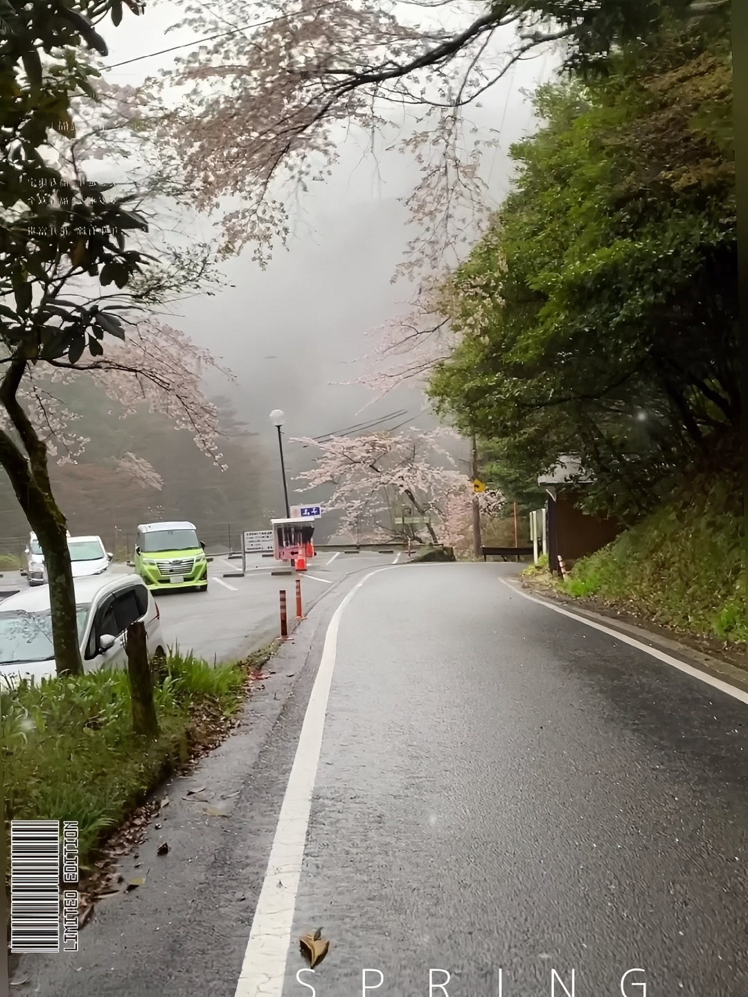 寿亭漫步雨中