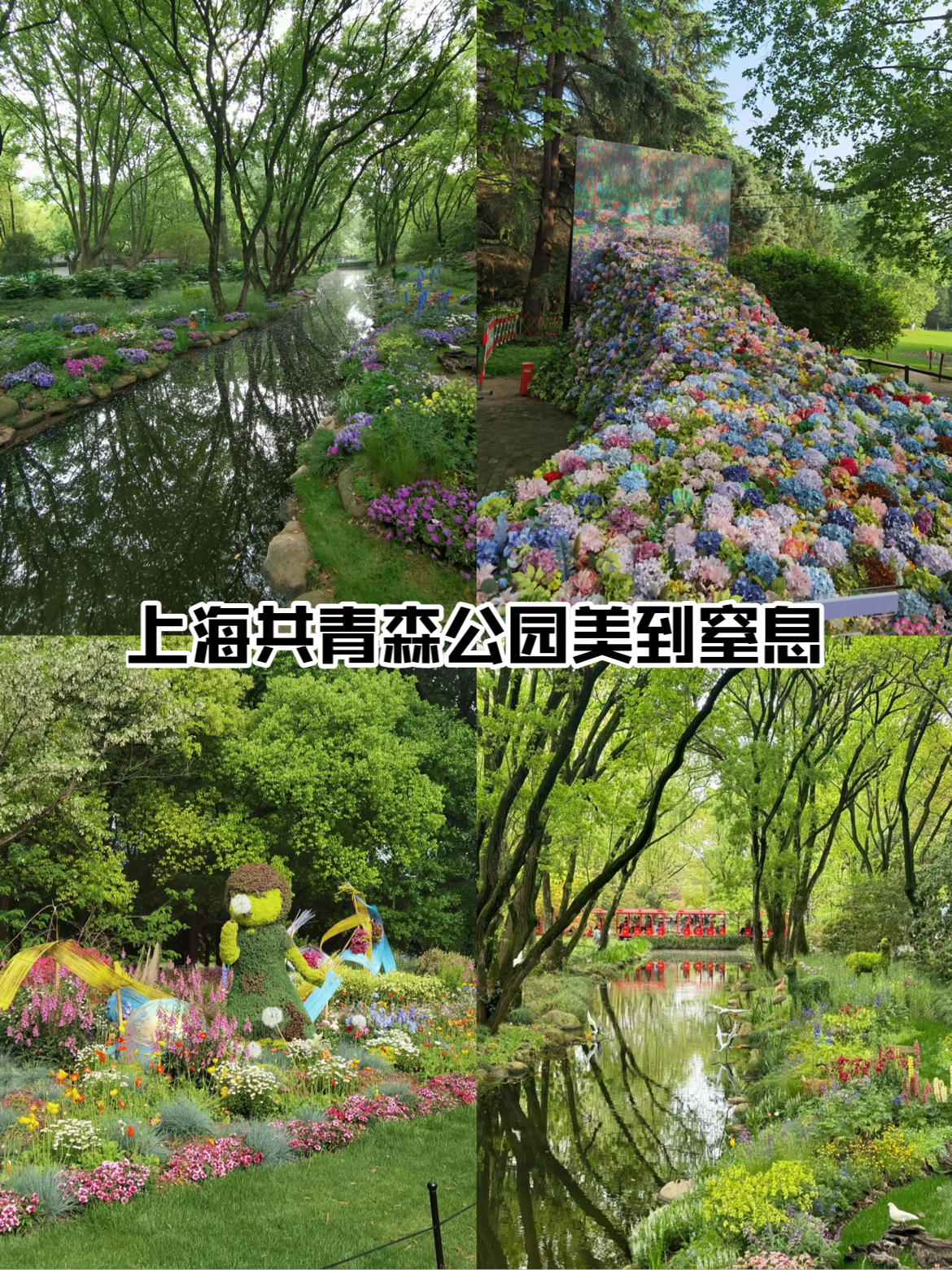 上海已经共青森林公园美到窒息!  共青森林公园今年的花展  真的太美啦  百花齐放  红色的小火车鸣