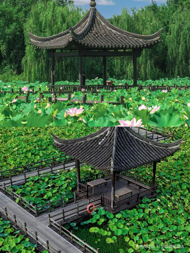 城市中的桃花源绍兴十里荷塘