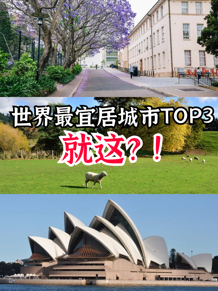 世界最宜居城市TOP3……就这？！