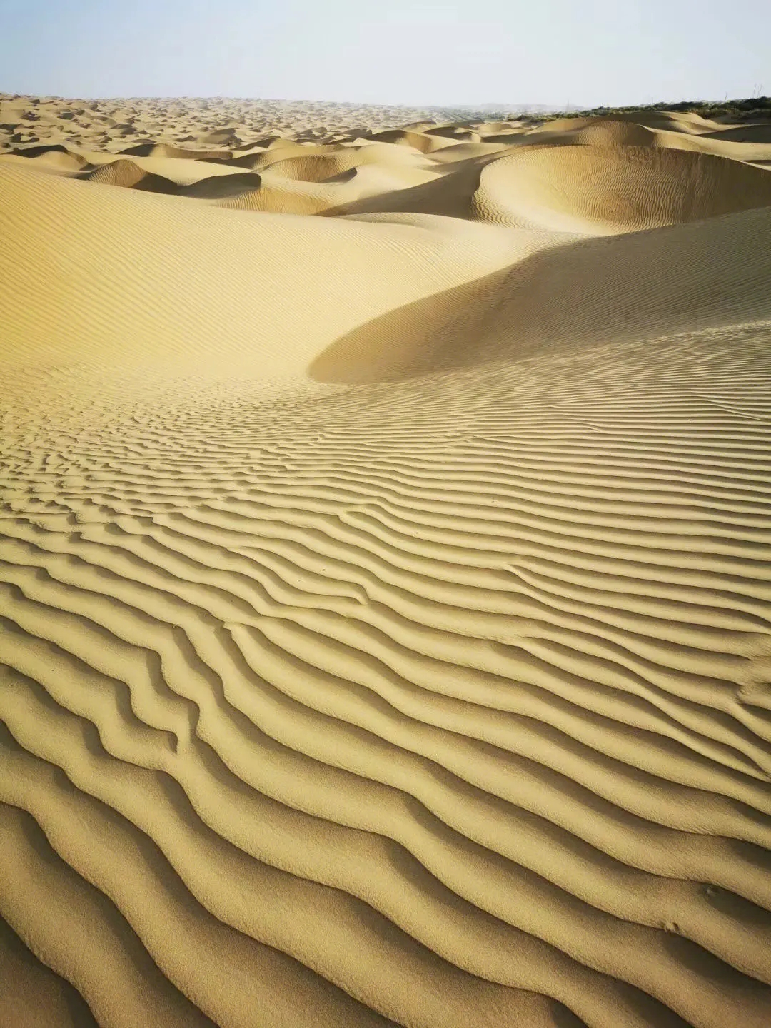 塔克拉玛干沙漠死亡沙漠的风景