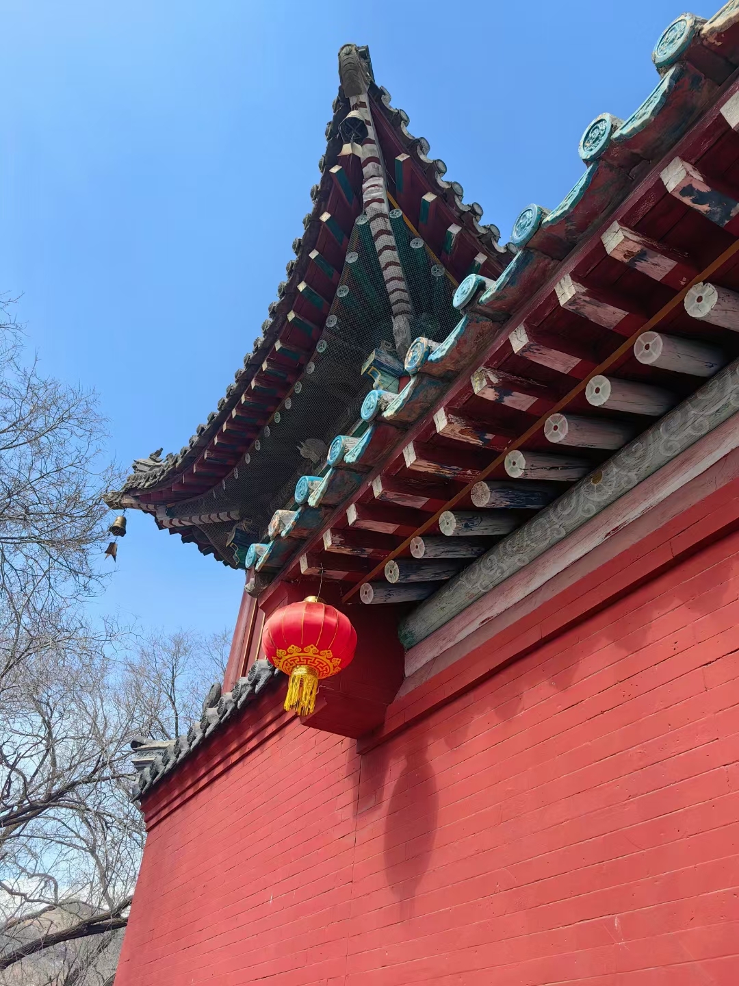 二月二龙抬头🐉，生活也要抬起头，迎接新的开始！让好运随风而来，心情也要跟着阳光灿烂☀️。一切都会越来