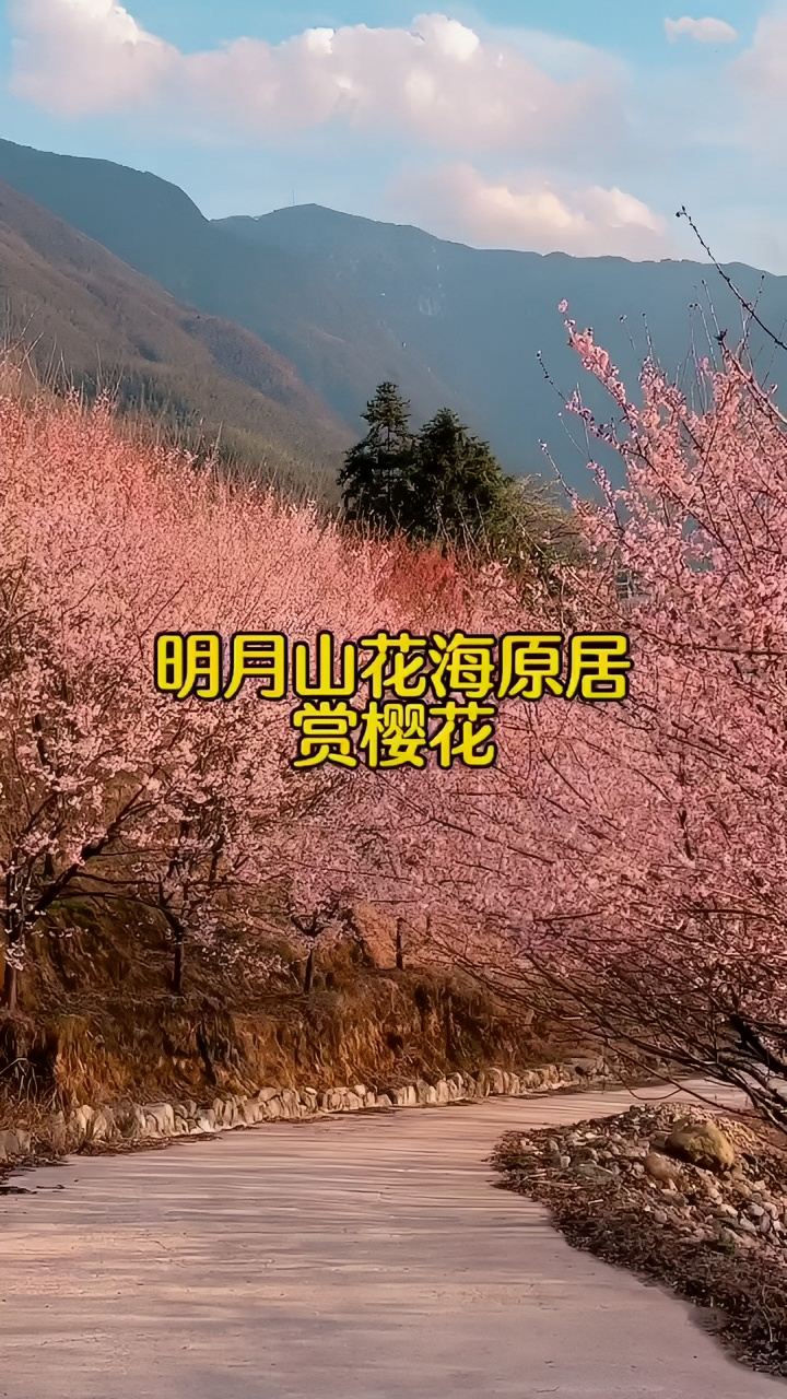 江西赏花