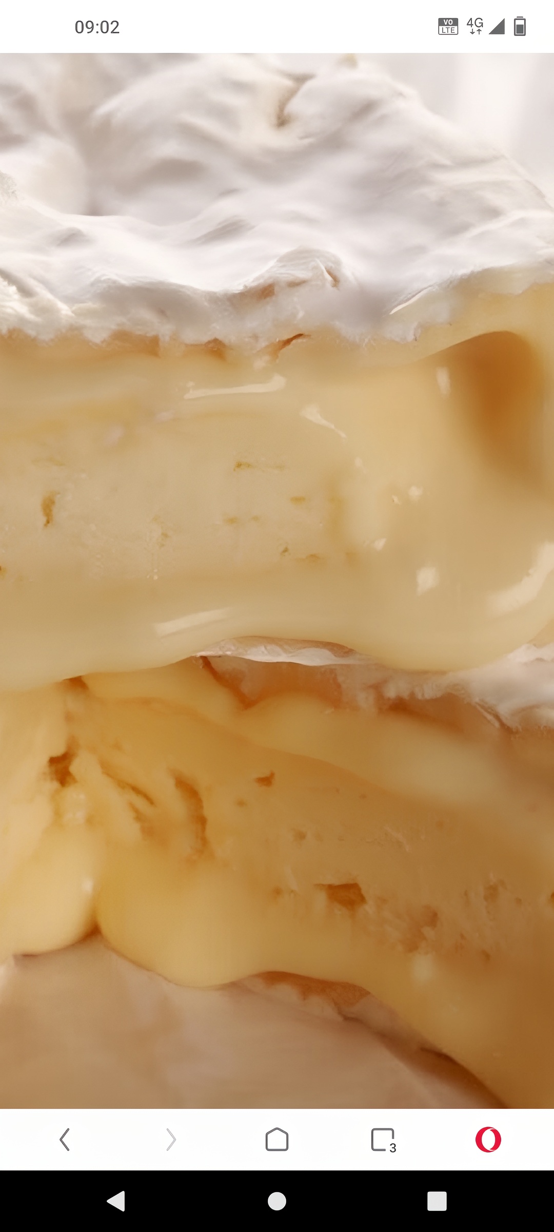第十一篇：Camembert 奶酪和圆形Croissant 和抹茶Mont blanc 糕点适合下午