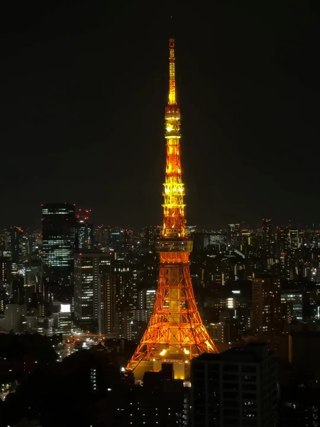 曾记否，看东京铁塔，喝巴黎之花
