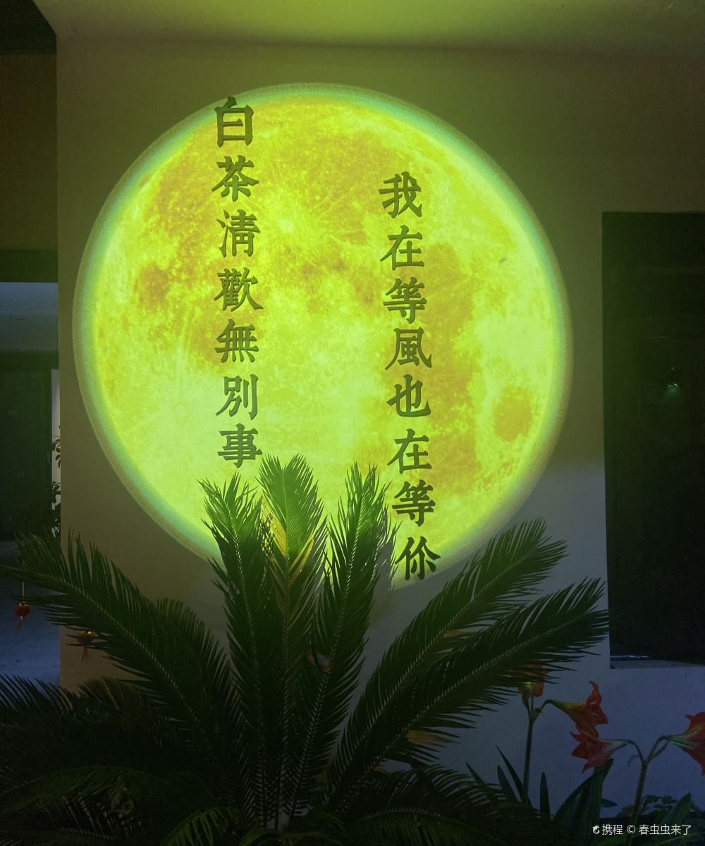 轻住.漫渡拾光Home Party度假美墅(周庄古镇景区店)图片