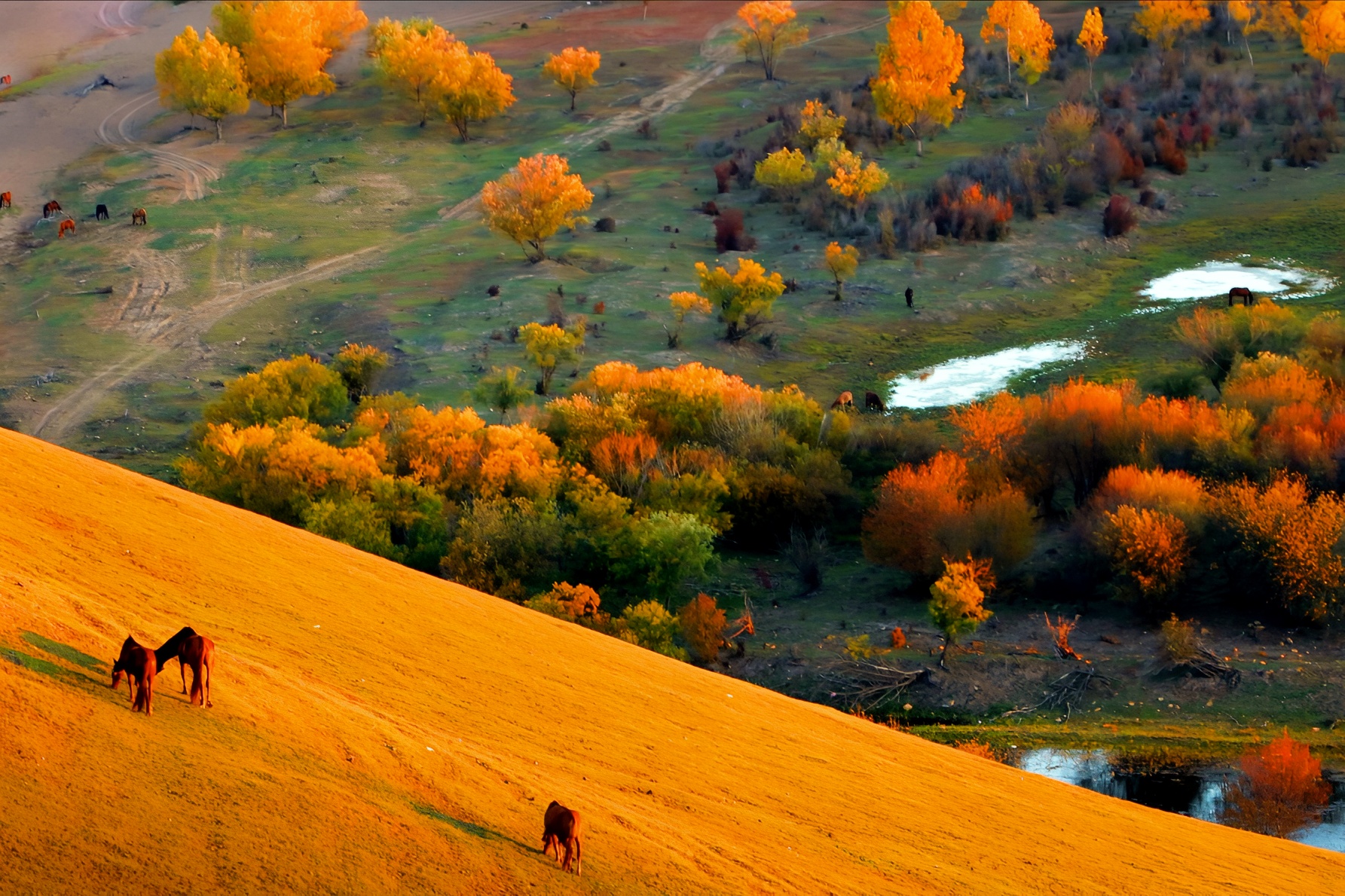 十月黑山头：科尔沁祖地的迷人金秋