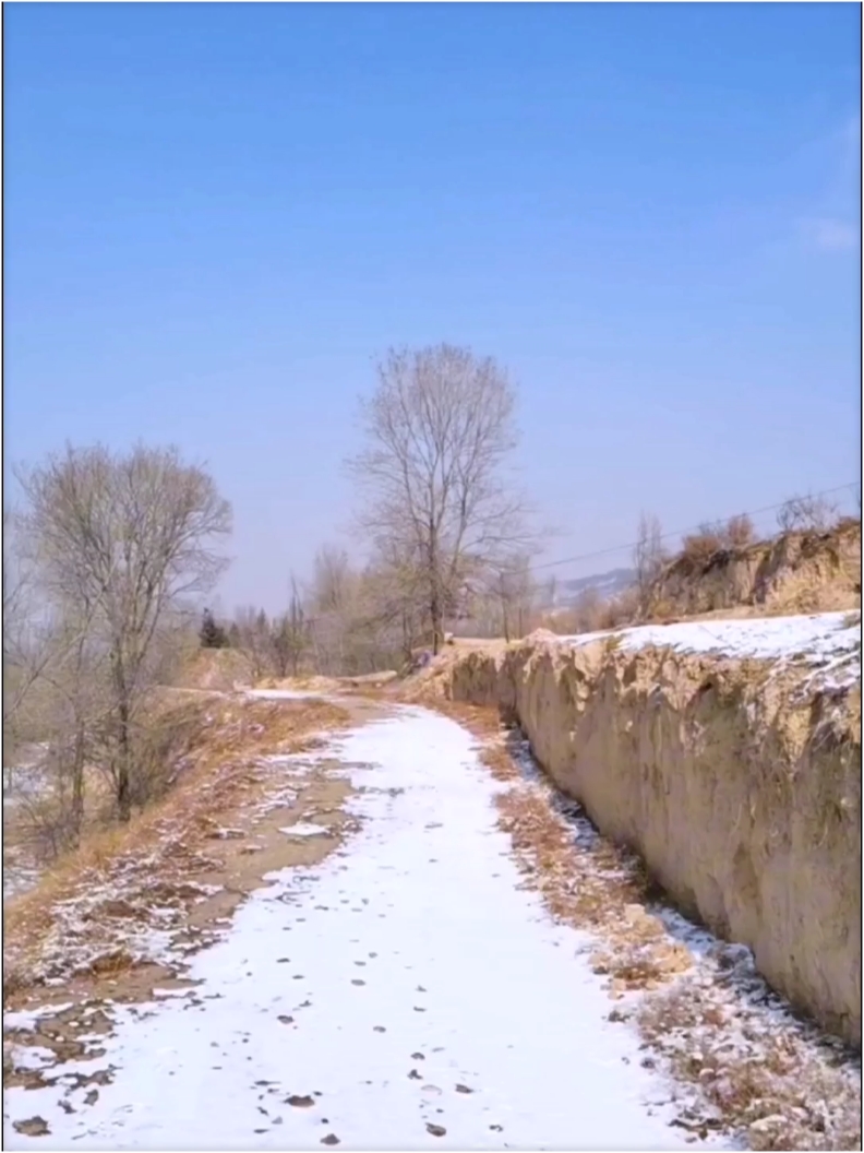 雪后美景如画