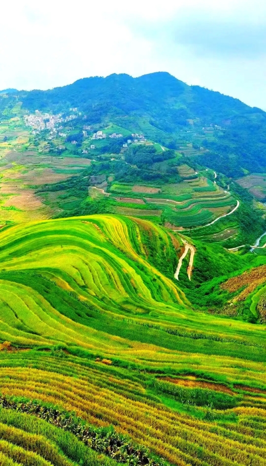 鱼乡阁饭庄(普者黑风景区仙人洞村店)餐厅图片