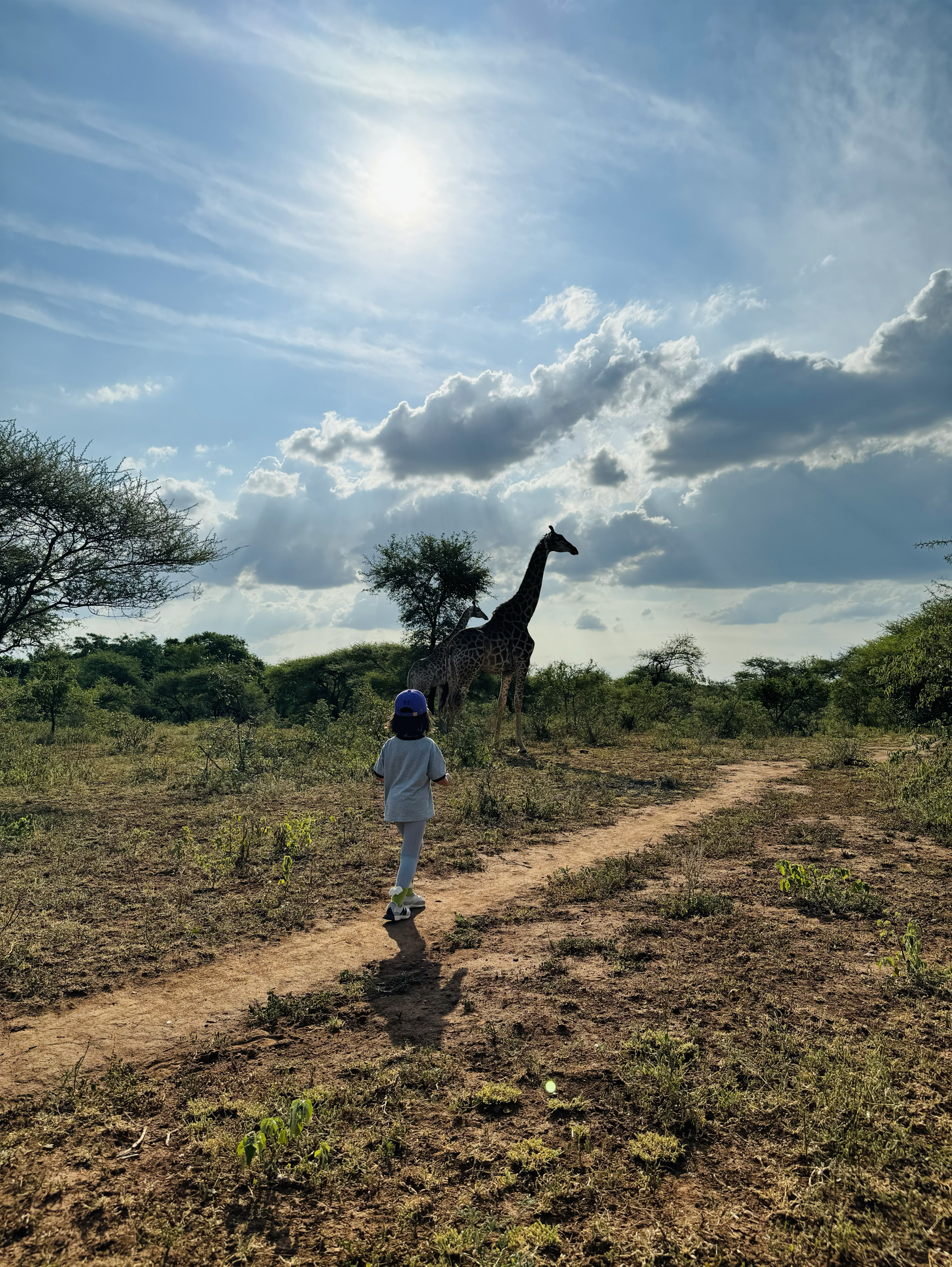 南非带娃徒步，遇见长颈鹿