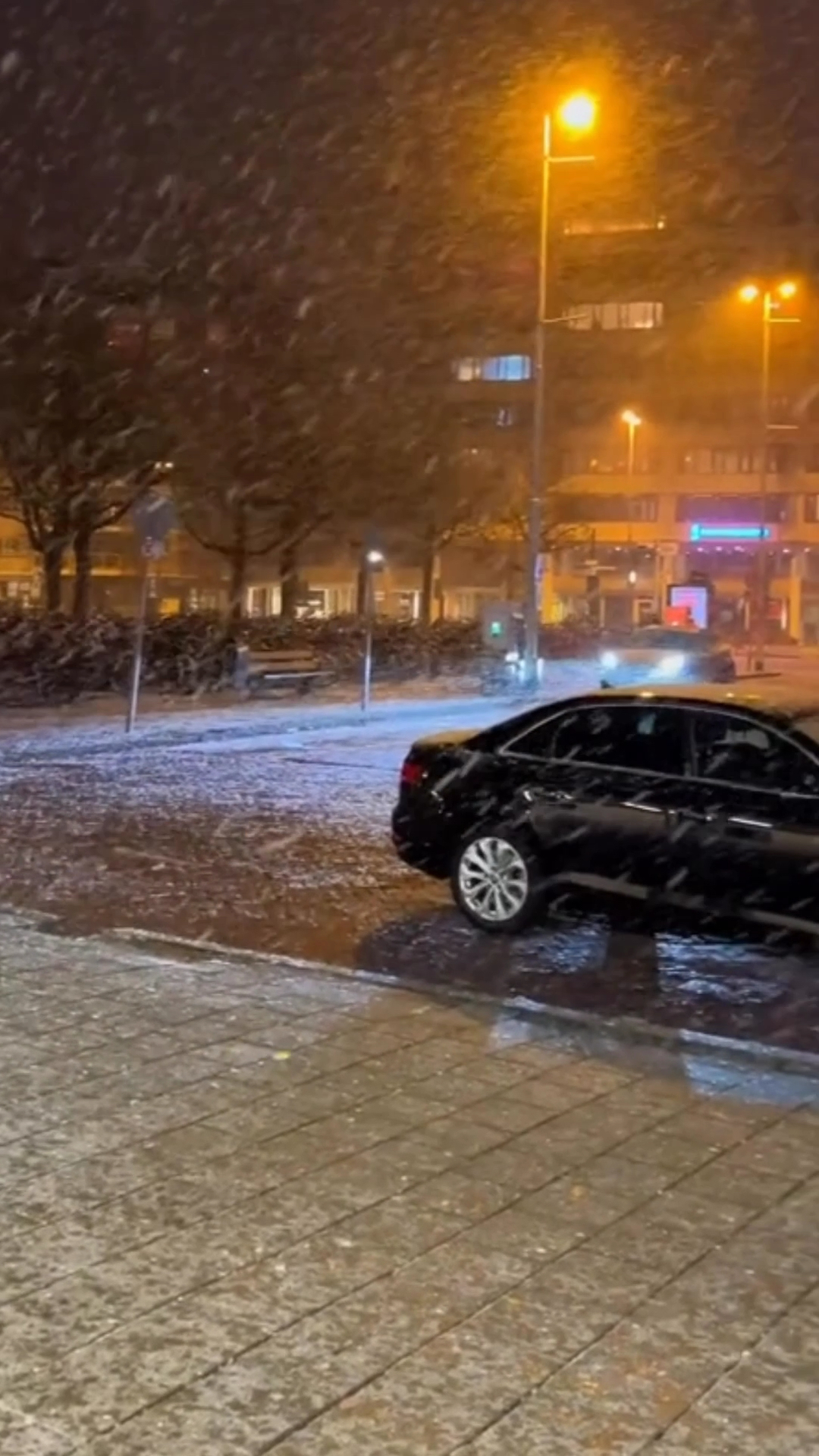 荷兰一些地方下雪了令人兴奋开心
