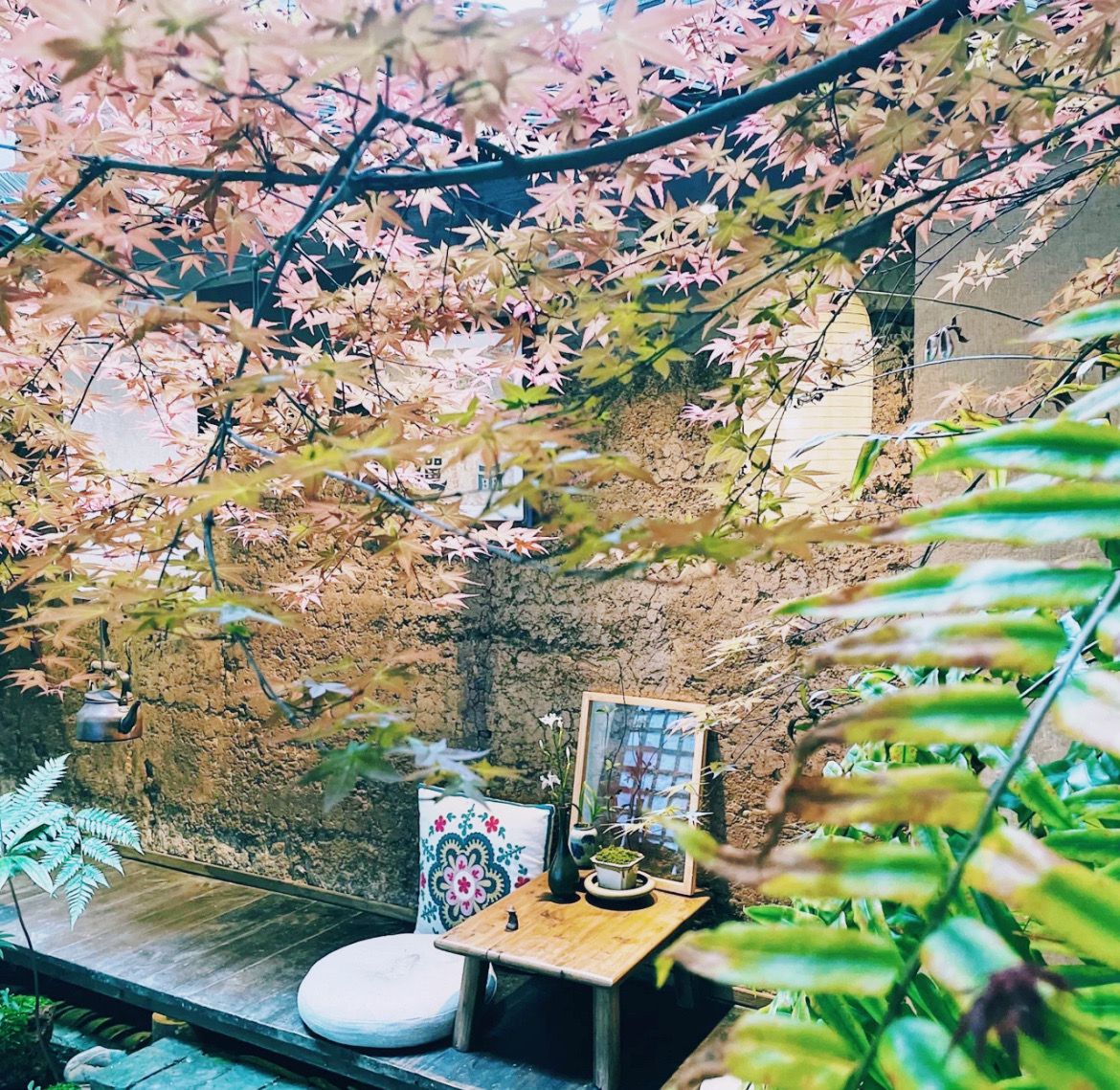 清晨到来餐厅图片