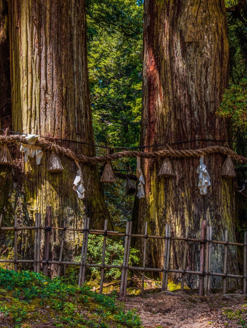 金刚峰寺：日本文化的精华