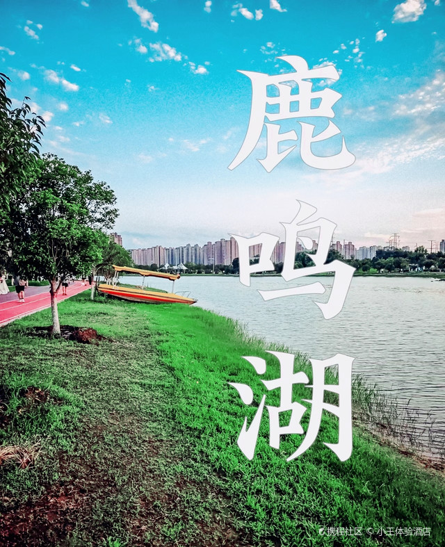 许昌鹿鸣湖跑步