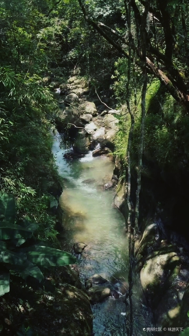 南平溪源大峡谷真的一整条都可以走