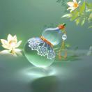 明晨紫月🌹 🌹