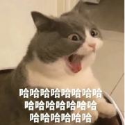 特斯拉旅行日记