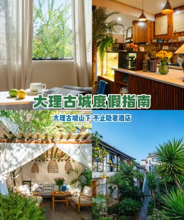 大理古城山下·不止植愈庭院图片