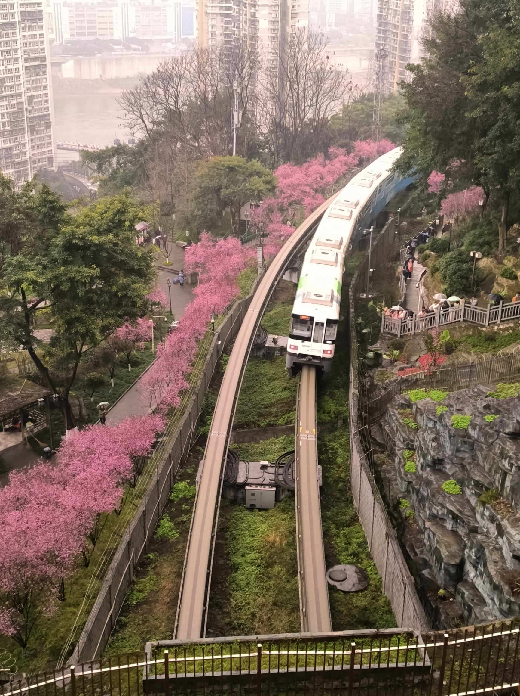 “开往春天的列车”体会重庆独特的文化