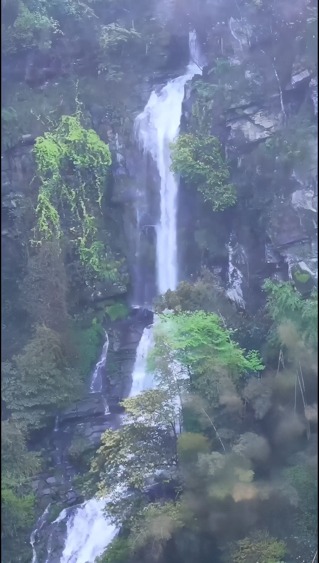 春雨过后的大岗山黄毛洞瀑布，又仙又壮观#遥看瀑布挂前川 #旅行