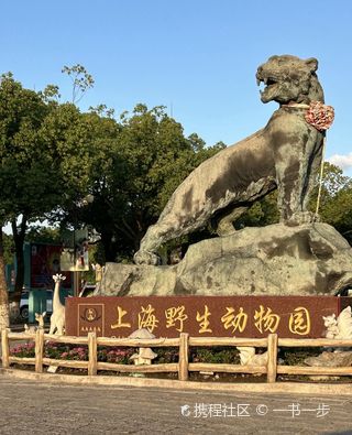 上海国际马戏剧场游玩攻略-国际马戏剧场门票多少钱/价格表-团购票价预定优惠-景点地址在哪里/图片介绍/参观预约/旅游游览顺序攻略及注意事项/营业时间-【携程攻略】