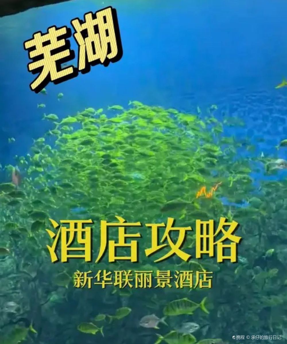 芜湖新华联丽景酒店图片